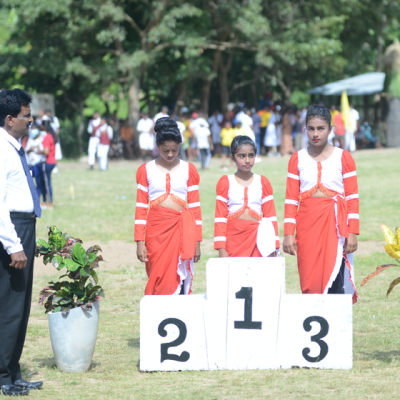 Screenshot 2025 03 03 110051 Aro