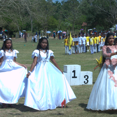 Screenshot 2025 03 03 110255 Sdfgf