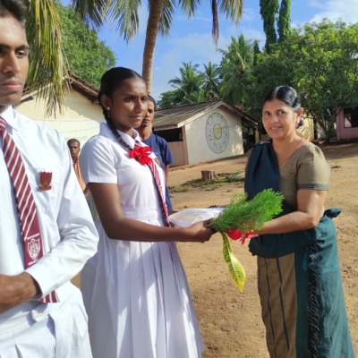 Screenshot 2025 03 03 120714